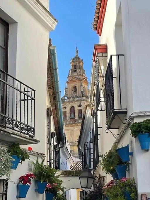La Puerta De La Axerquia Parking Y Wifi Gratis Apartment Cordoba Spain