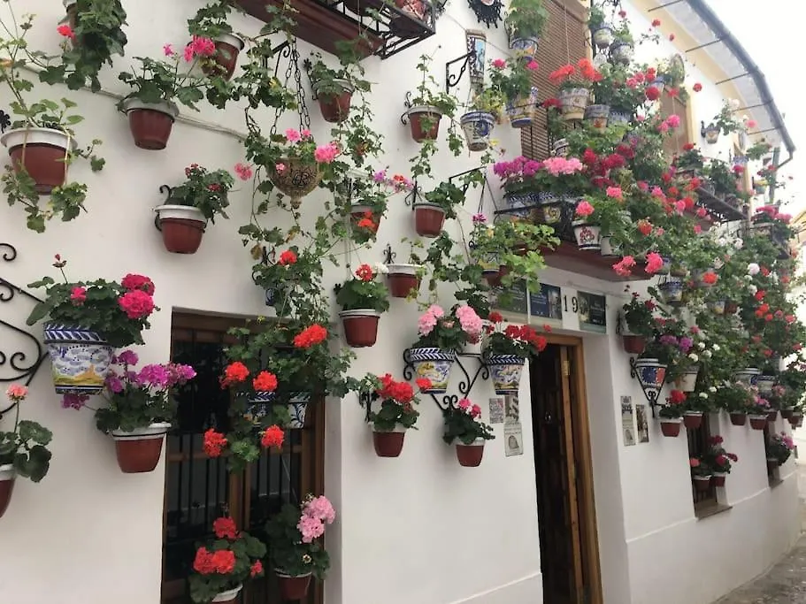 La Puerta De La Axerquia Parking Y Wifi Gratis Apartment Cordoba